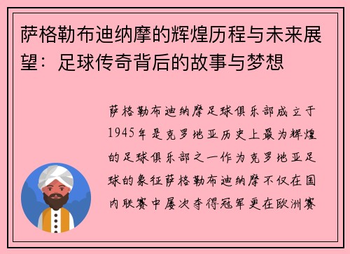 萨格勒布迪纳摩的辉煌历程与未来展望：足球传奇背后的故事与梦想